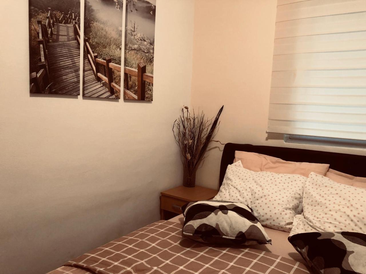 Apartments Aleksandar Petrovac Ngoại thất bức ảnh
