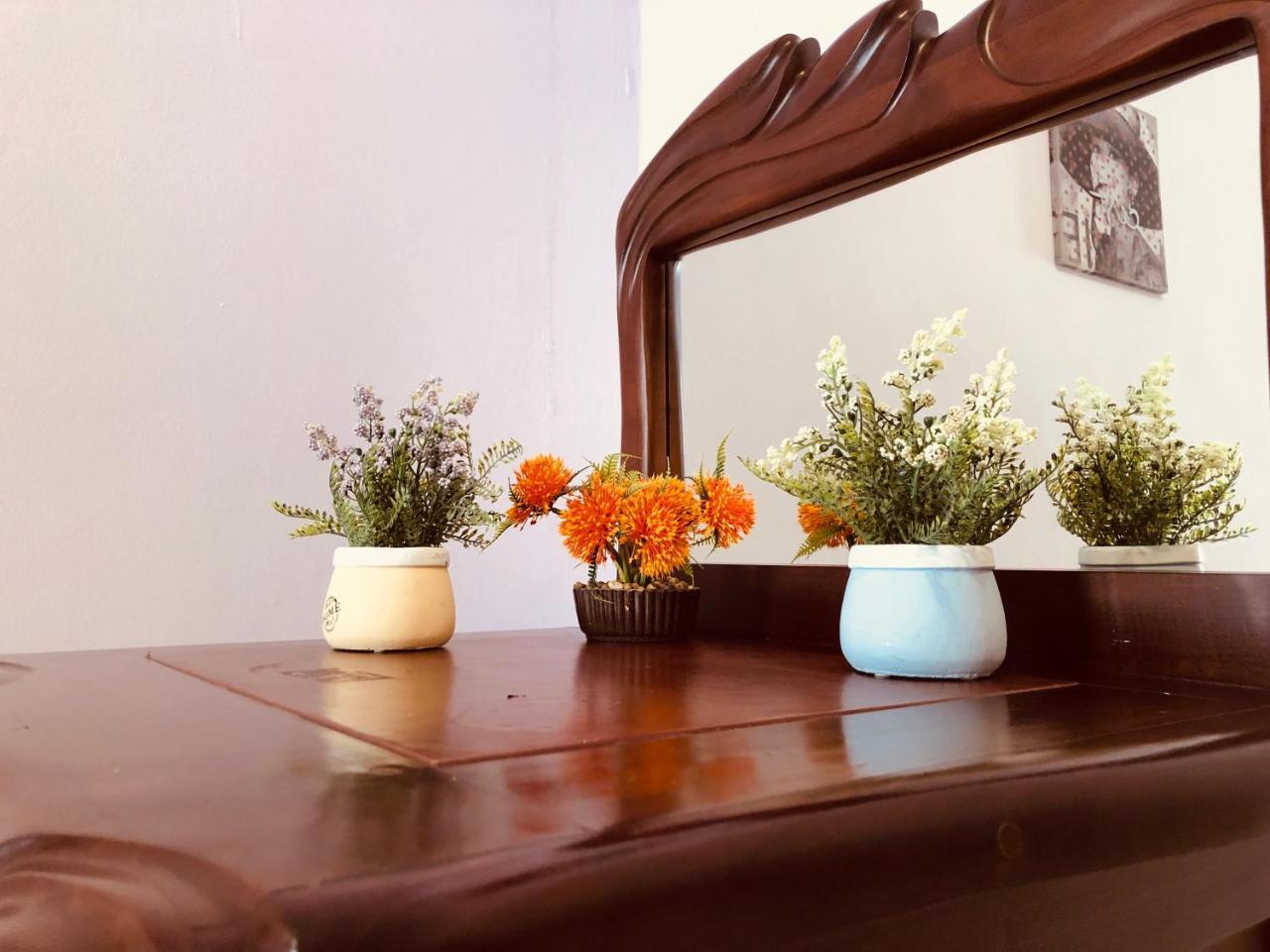 Apartments Aleksandar Petrovac Ngoại thất bức ảnh